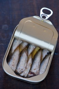 By jules (Flickr: sardines in a can) via Wikimedia Commons
