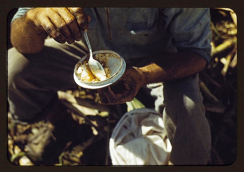 Rice in a lunch of plantation worker