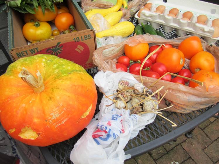 Summer's abundance shared at the veggie swap.