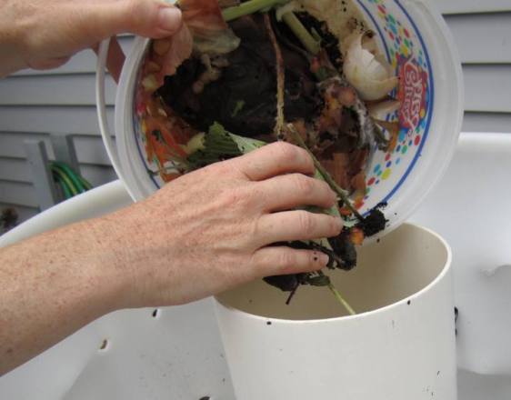 Adding vegetable matter to the center tube