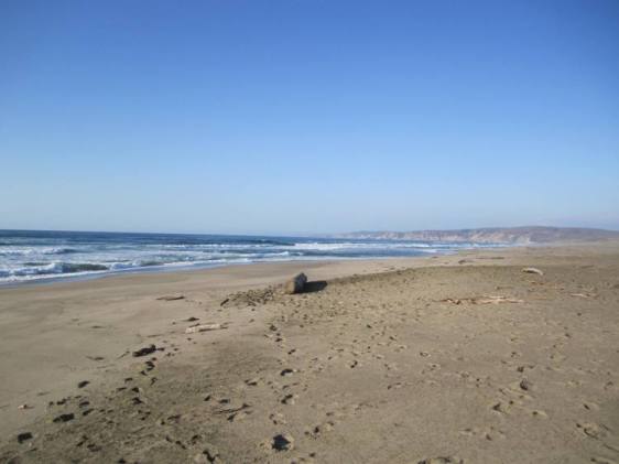 Beyond Abbott's Lagoon: The Pacific.