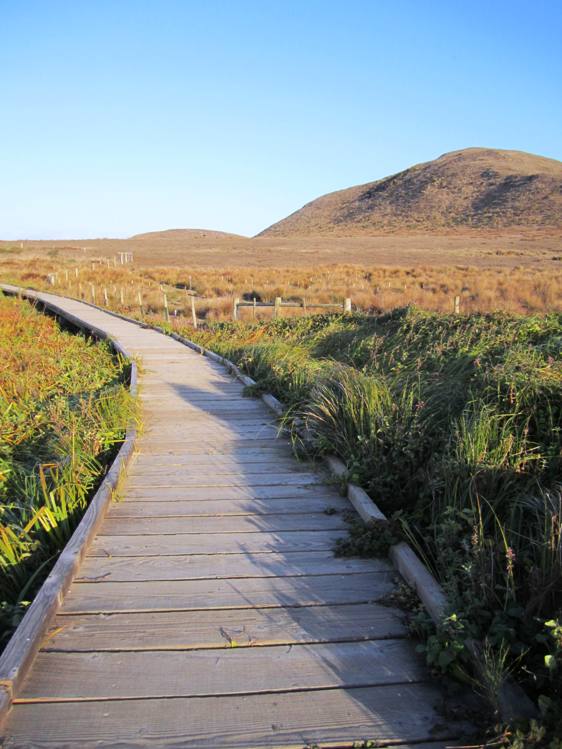Path to Abbott's Lagoon, Point Reyes National Seashore