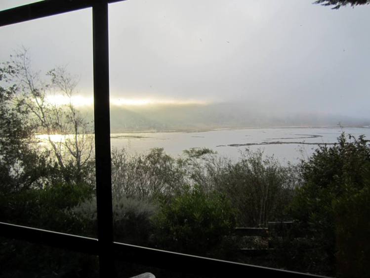 My writing shed  overlooked a Tomales Bay tidal estuary, where San Andreas fault lies.