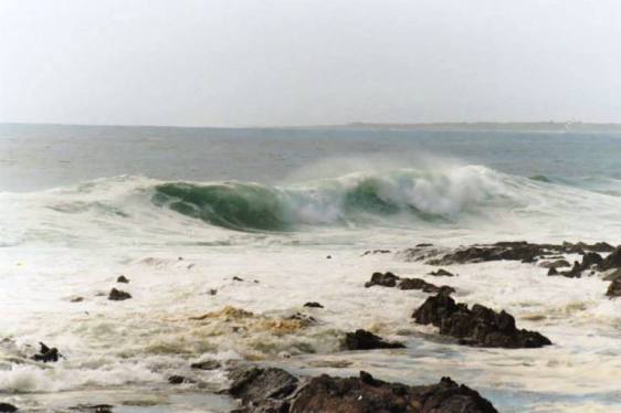 Shore of Robben Island