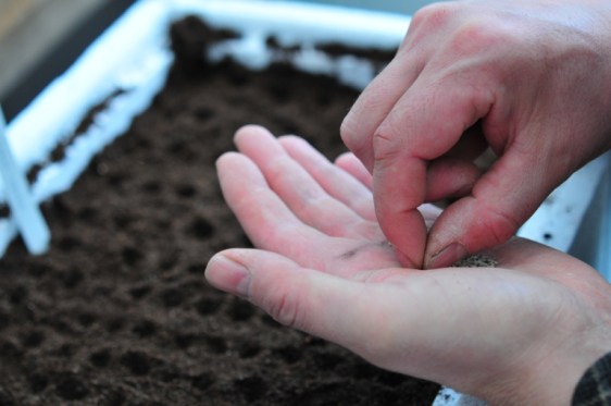 Photo by julochka, via flickr Commons