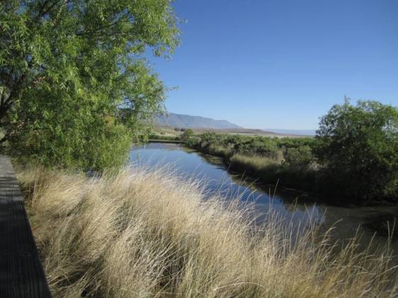 My deck looked out over a pond. Who needs TV when you've got birds, dragonflies, jumping fish, and the occasional muskrat to watch?