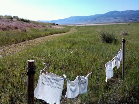 Clothesline poetry in the high desert.