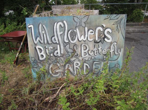The grounds of this food co-op include a sweet garden meant to attract pollinators.