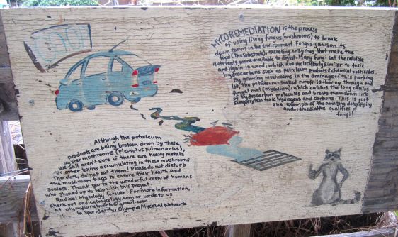 Signage showing the overview of the mycoremediation