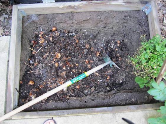 Lots of brown eggshells still showing. What can I say, I eat a lot of eggs.