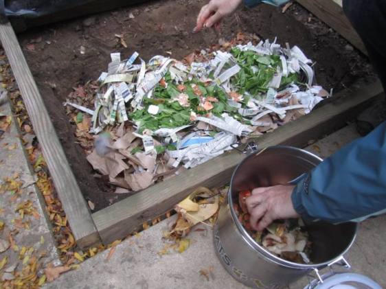 Creating a nice buffet and bed for the wigglers.