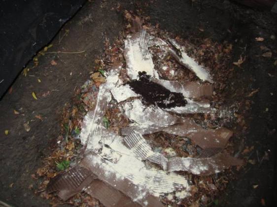 The dark stuff is a handful of bedding and worms from the indoor bin.