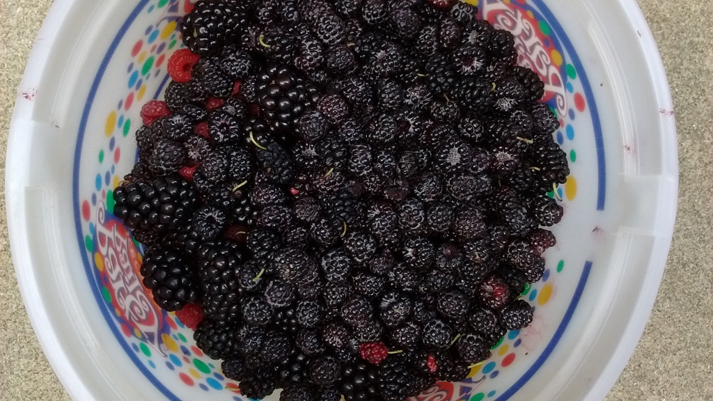 IMG_20160626_185540693 (1024x576)