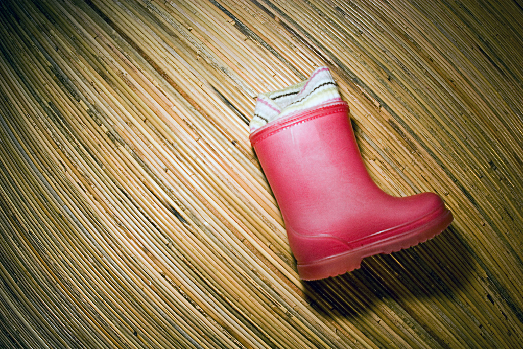 388408962_d50b59e660_b