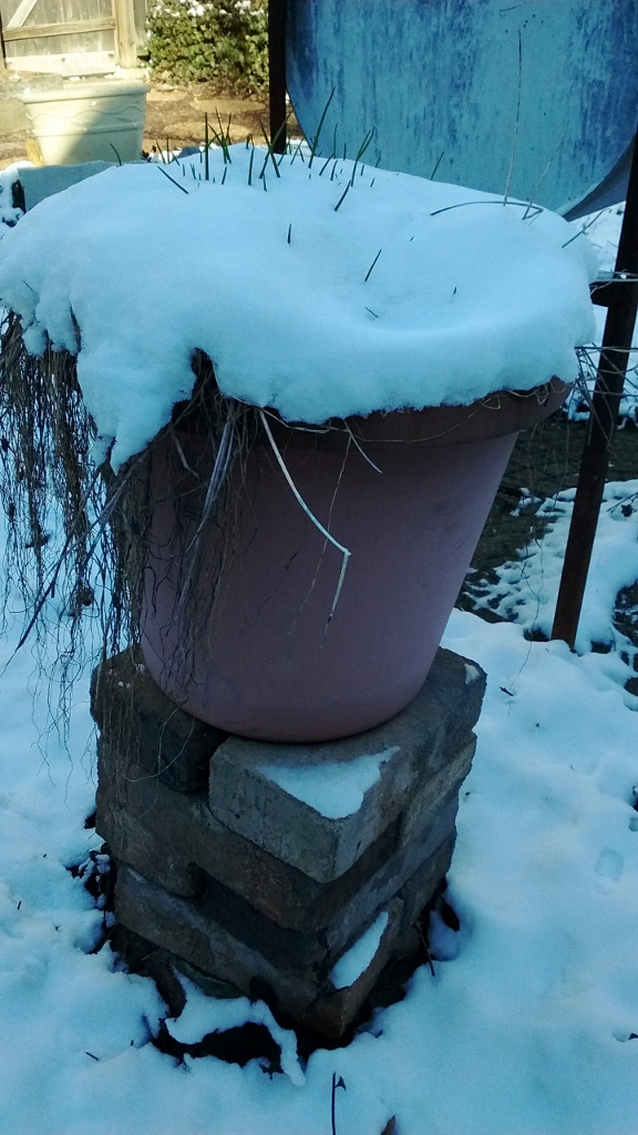 IMG_20170209_153449648 (576x1024)