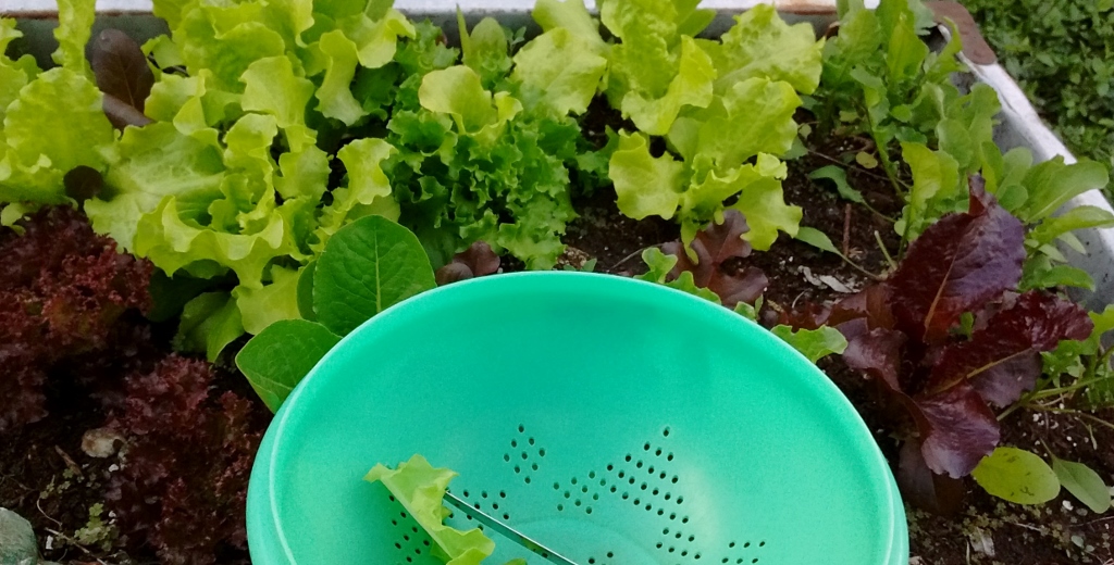 IMG_20170426_191152379 (1024x520)