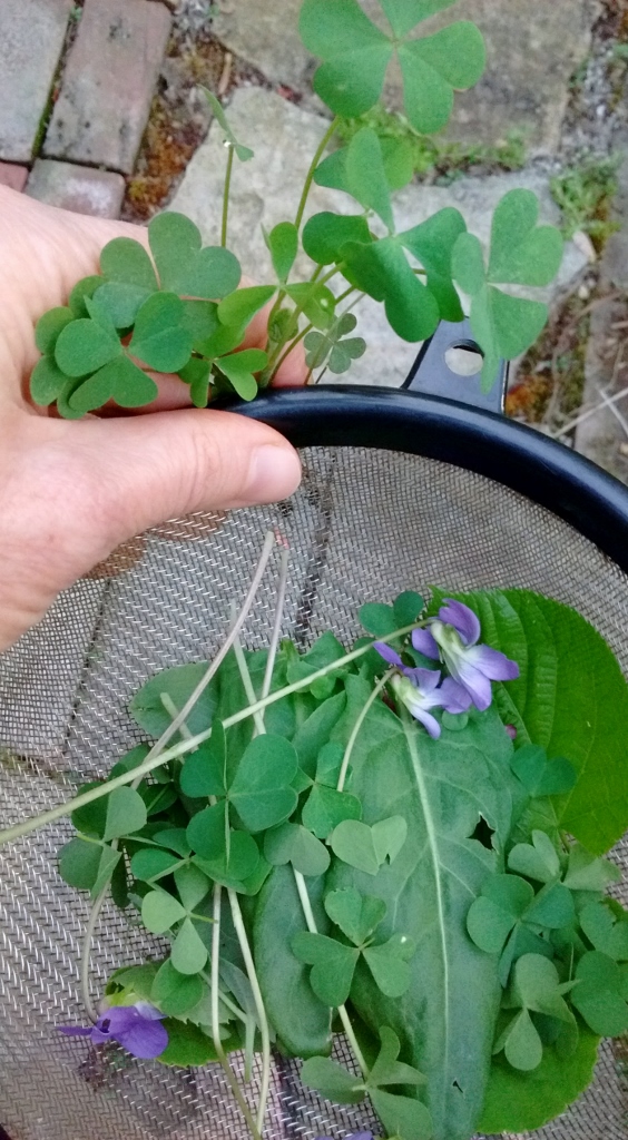 IMG_20170426_192308940 (564x1024)