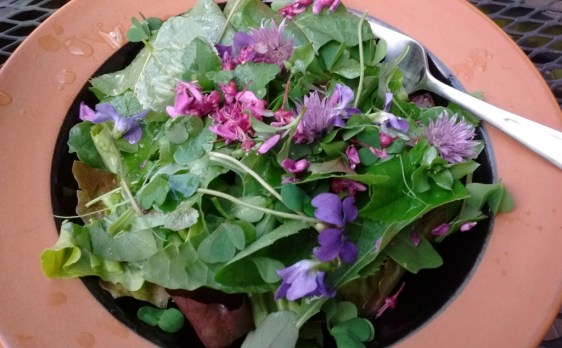 IMG_20170426_193609535 (1024x635)