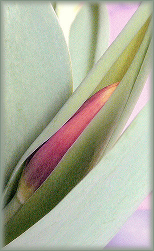 428063994_dbf94aaada_z