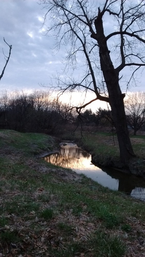 IMG_20170330_073918260 (576x1024)