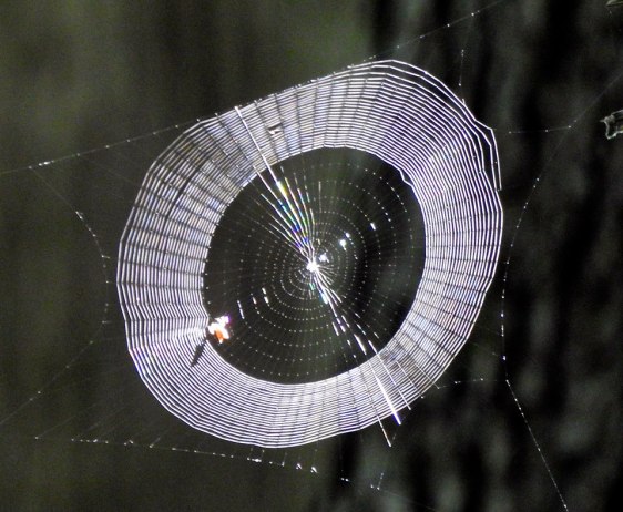 web eagle creek park