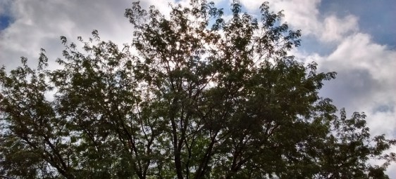 IMG_20170914_114228748_HDR (1024x466)