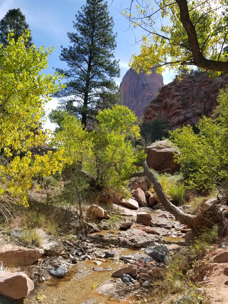 20170926_115559 (768x1024)