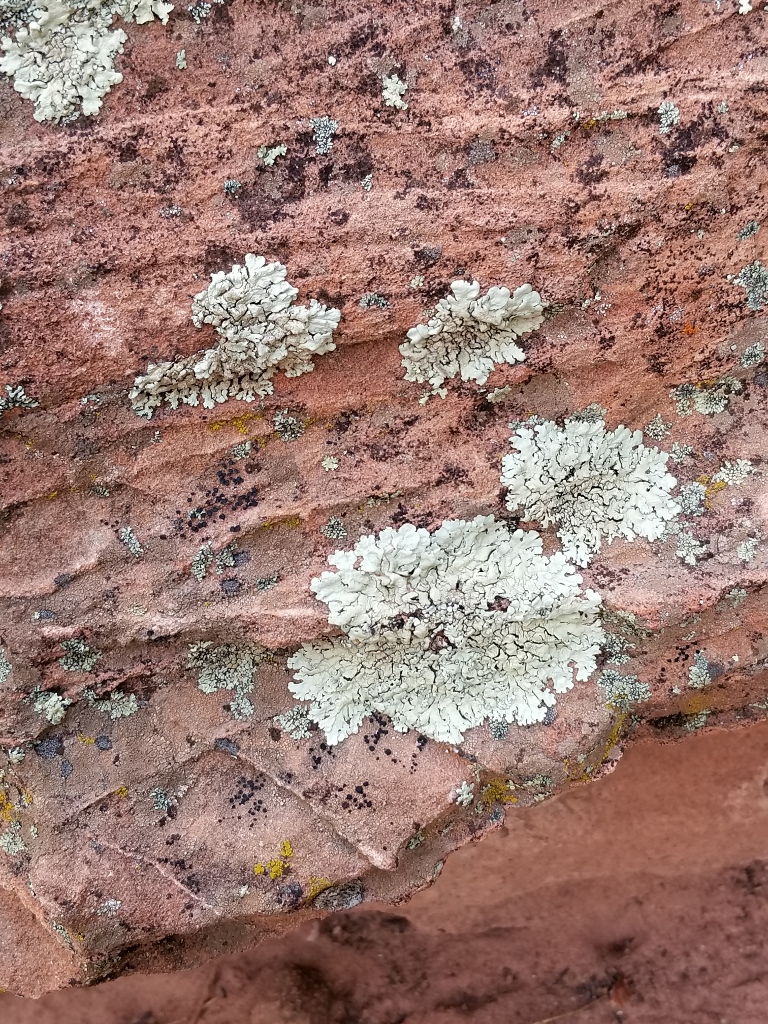 20170926_121521 (768x1024)