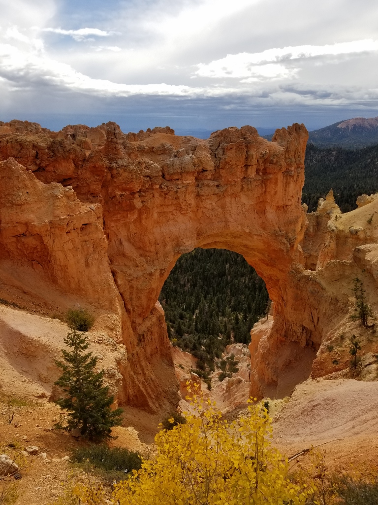 20170927_102616 (768x1024)