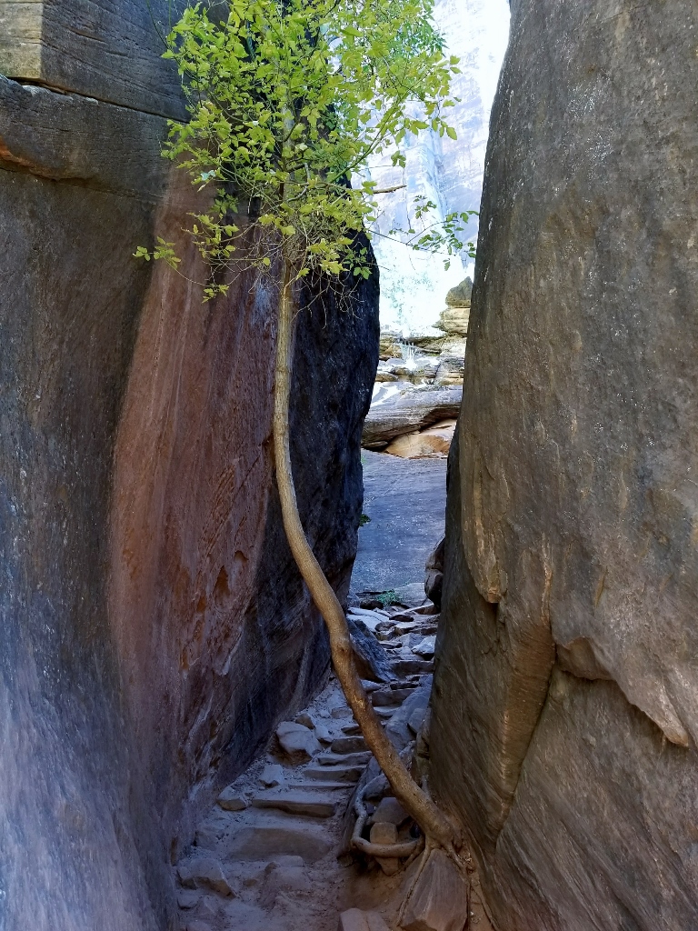 20170928_095742 (768x1024)