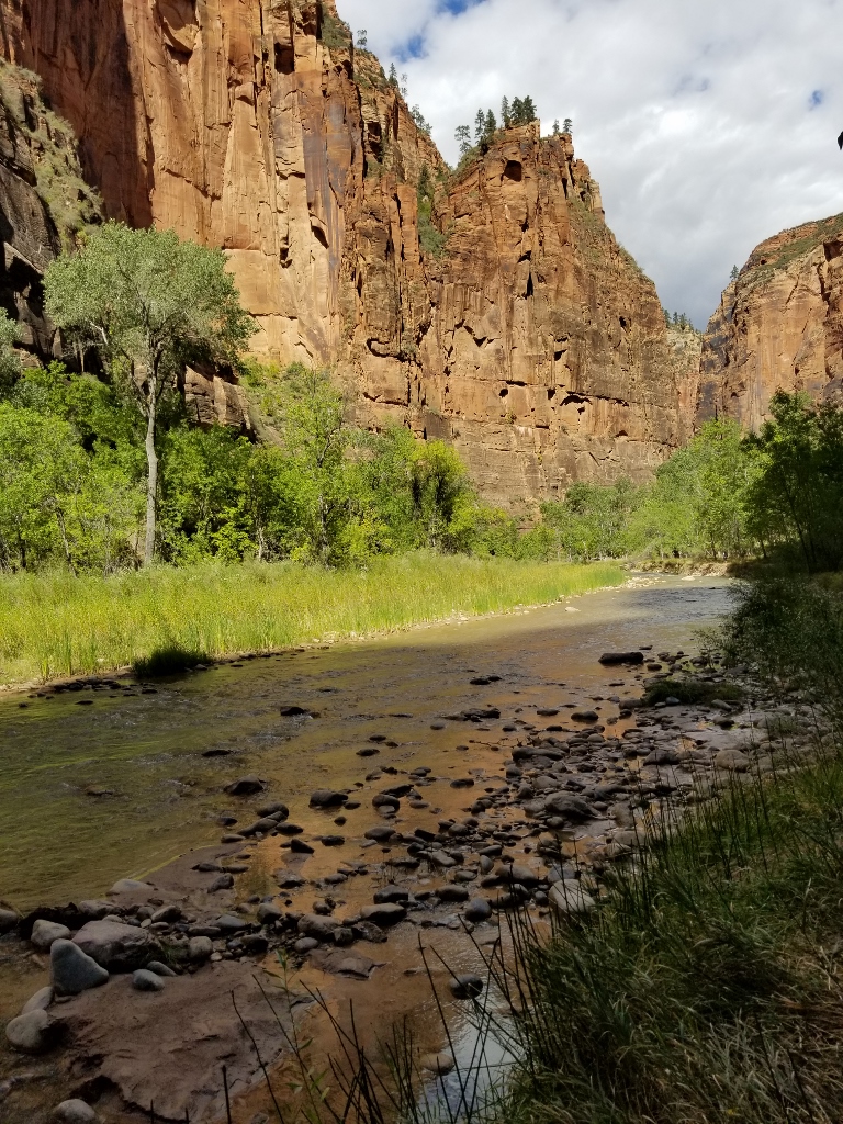 20170928_124215 (768x1024)