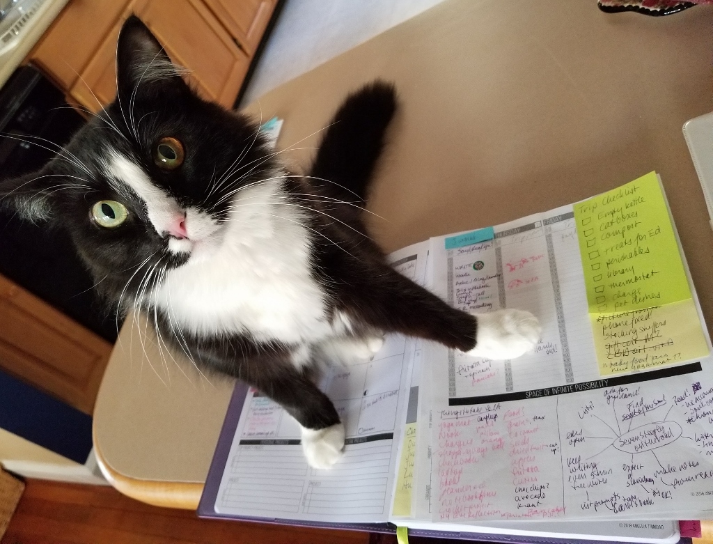 20171220_104416 (1024x781)