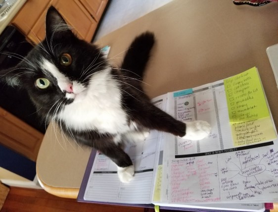 20171220_104416 (1024x781)