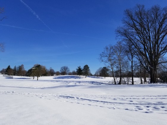 scene 1 (1024x768).jpg