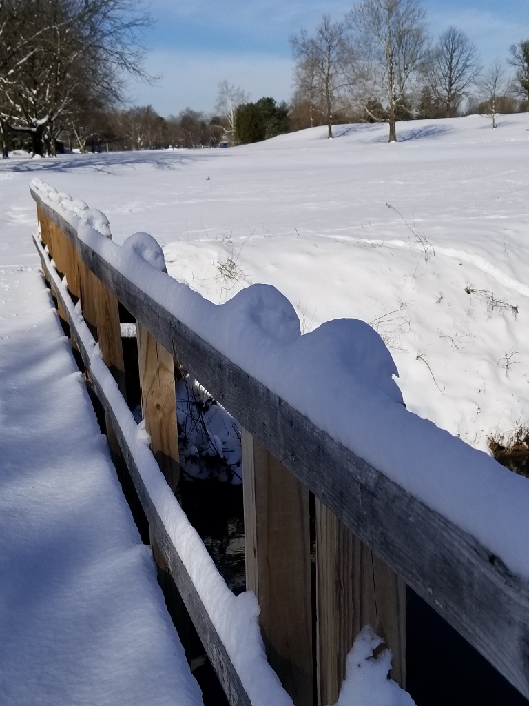 scene 5 (768x1024).jpg