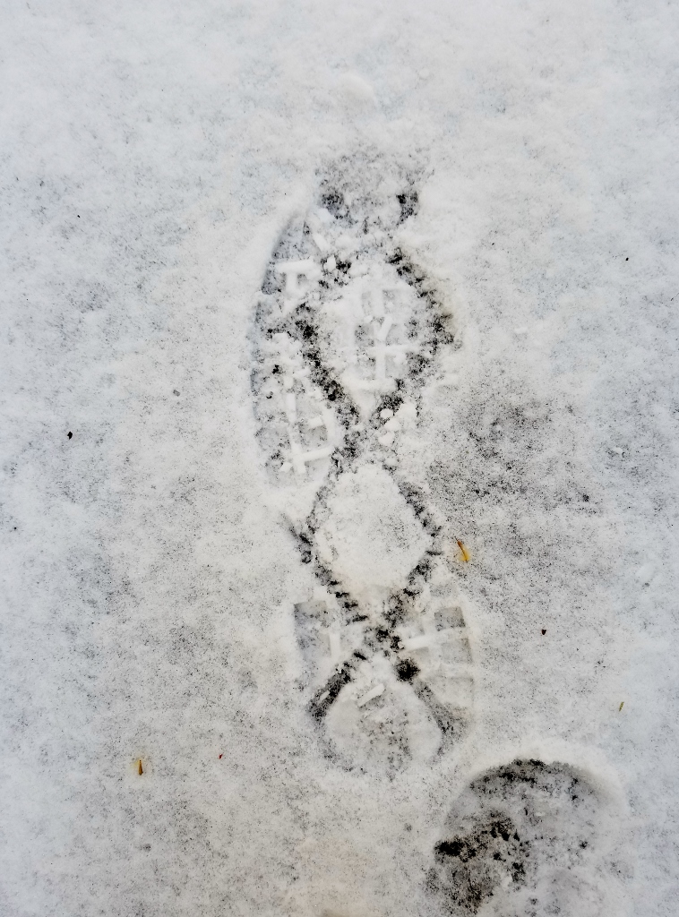 scene 7 (758x1024).jpg