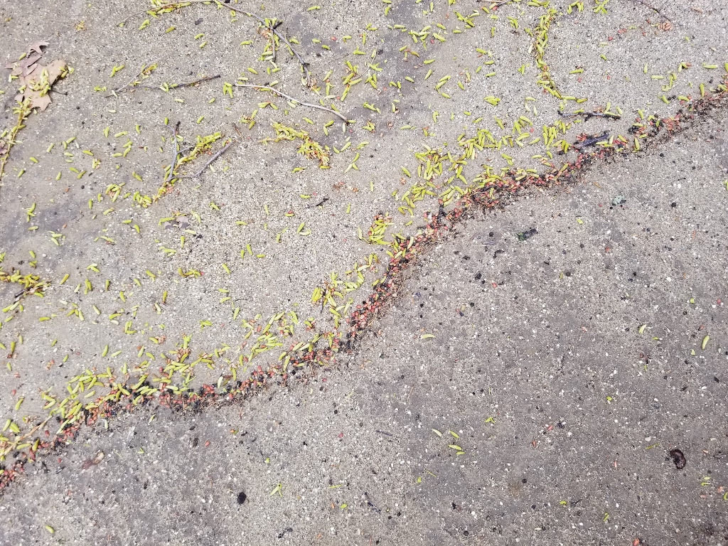 20180404_130910 (1024x768)