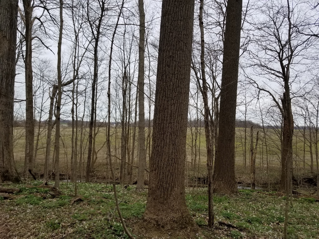 20180422_115737 (1024x768)