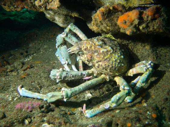 16804656969_ddf002fe09_k