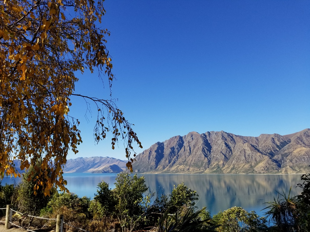 20190413_154207 (1024x768)