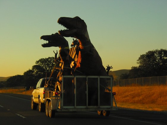 5724740_5d744009ea_b