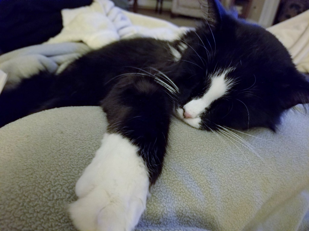 20200303_213900 (1024x767)