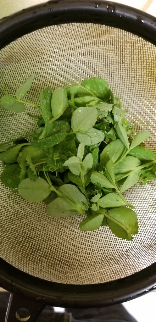 20200318_170519 (498x1024)