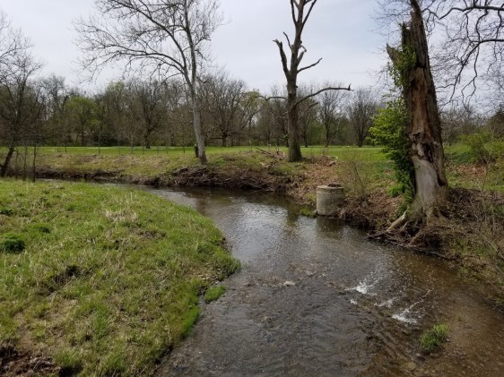 20200426_125845 (1024x768)